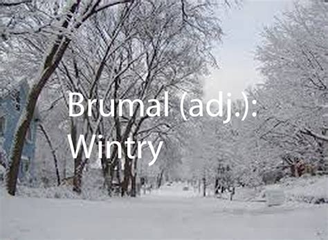 buumal|BRUMAL Definition & Meaning .